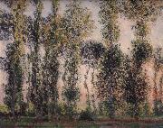 Claude Monet Poplars at Giverny Germany oil painting artist